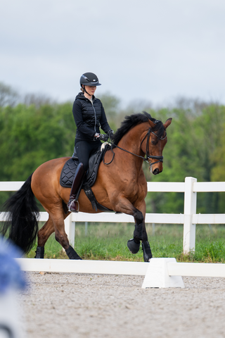 Breeches New Lugana FFL Black