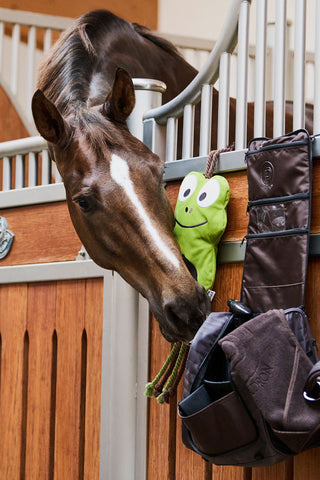 Spielzeug Frosch Platinum SS24