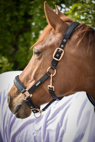Halster Svensk Ridsport