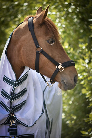 Halster Svensk Ridsport