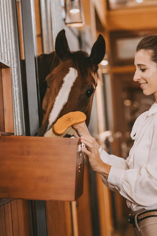 Stall Grooming Låda
