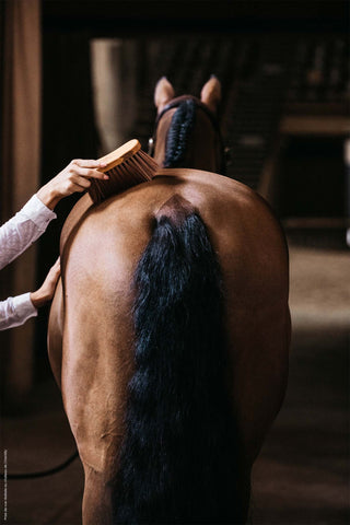 Szczotka Wygięta Średnia