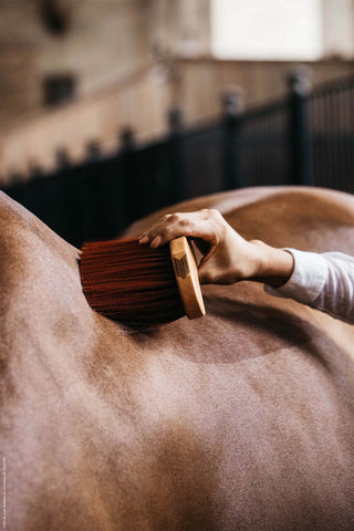 Szczotka Wygięta Średnia