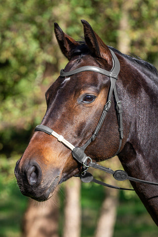 Gebisslose Trense La Cense