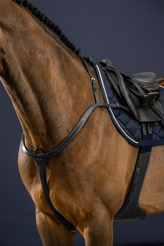 Brösta Lång Brygga Dyon Collection