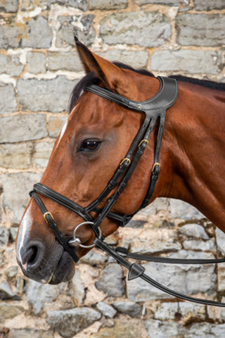 Difference trense kombineret næserem Dyon Collection brun