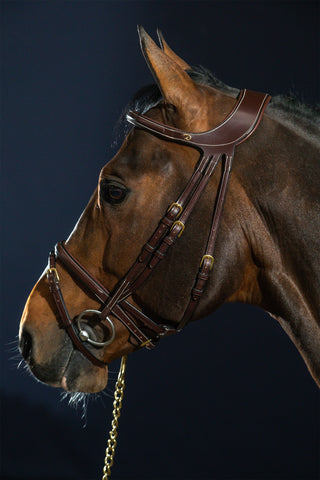 Difference trense kombineret næserem Dyon Collection brun