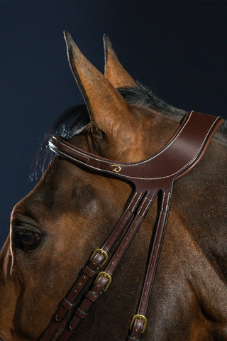 Difference trense kombineret næserem Dyon Collection brun