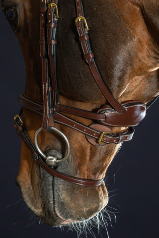 Difference trense kombineret næserem Dyon Collection brun