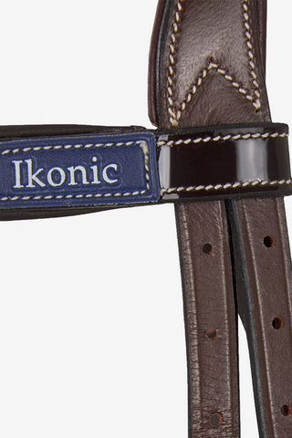 Evolution Träns Shiny