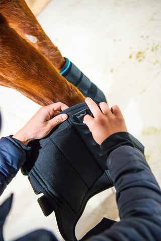 Ice Vibe Vibrationspanel