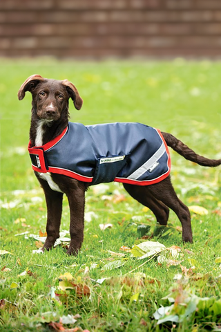 Rambo Couverture pour Chien 100g