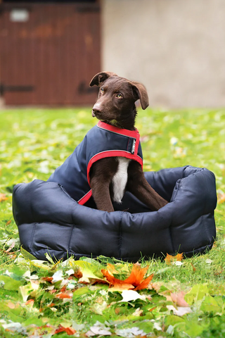 Rambo Couverture pour Chien 100g