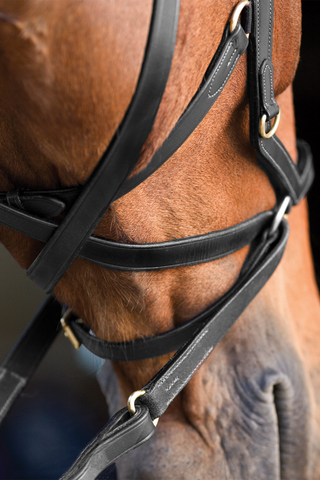 Rambo Micklem Trense Multi