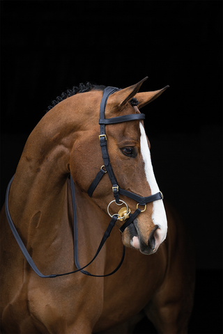 Rambo Micklem Trense Multi