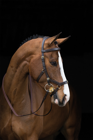 Rambo Micklem Trense Multi