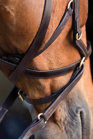 Rambo Micklem Trense Multi