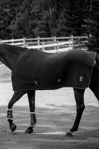 Classic Wool Evolution Stable Rug