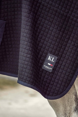 Classic Wool Evolution Stable Rug