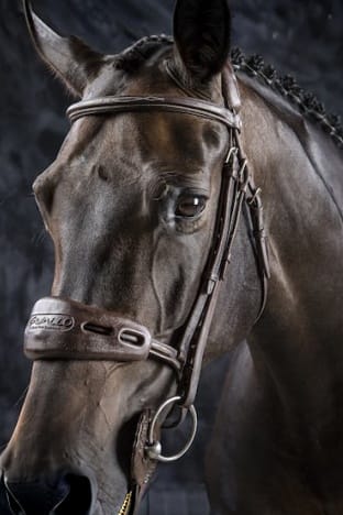 Acavallo Nos/Nackskydd Gel