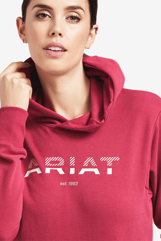 Ariat Hoodie 3D Logo 2.1