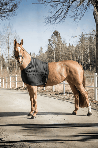 Back On Track Bogskydd Light