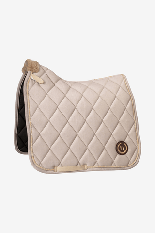 Back On Track Haze Schabrak