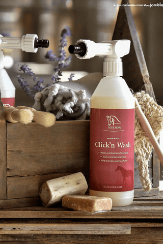 Blue Hors Click'n Wash