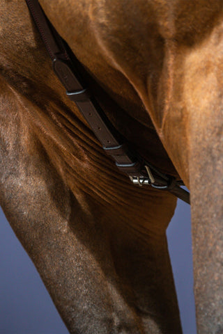 Breastplate With Bridge New English Brown