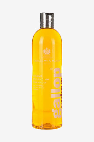 Carr & Day & Martin Schampo Fux