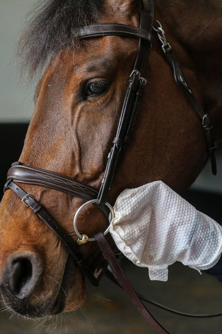 Belvoir Tack Cleaner Handschoen
