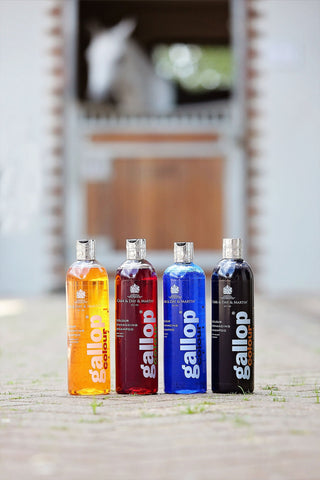 Szampon dla siwych koni