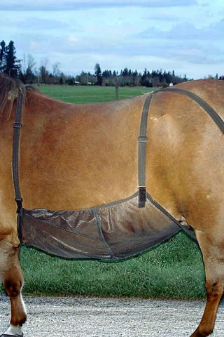 Cashel Flugskydd Mage