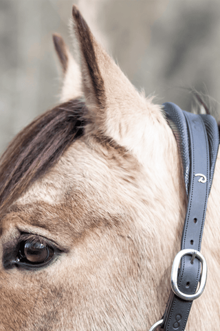 2-in-1 Halter Natural La Cense