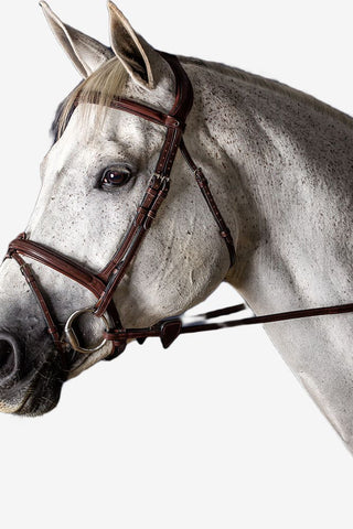 Dyón Träns Kombinerad Nosgrimma New English