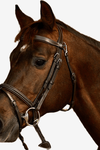 Dyón Träns Kombinerad Nosgrimma Söm Working Collection