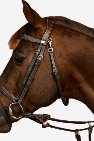 Dyón Träns Kombinerad Nosgrimma Söm Working Collection