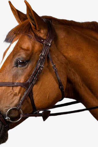 Dyón Träns Mexikansk Nosgrimma New English Collection