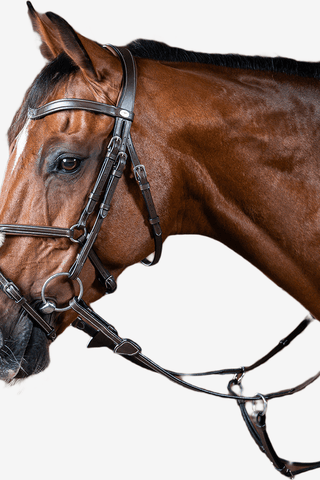 Dyón Träns Mexikansk Nosgrimma Working