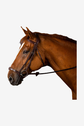 Dyón Träns Remontnosgrimma New English