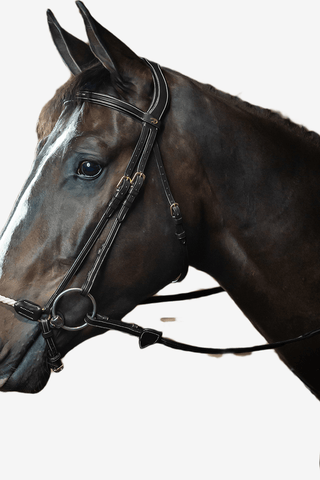 Dyón Träns Remontnosgrimma Rep Dyon Collection