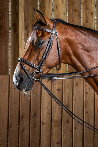 Skórzane Wodze pomocnicze Working Collection Brązowe