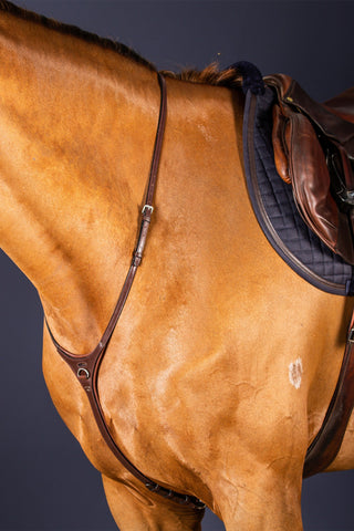 Halsriem voor Martingaal New English Zwart