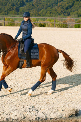 Equestrian Stockholm Dressyrschabrak Sportive