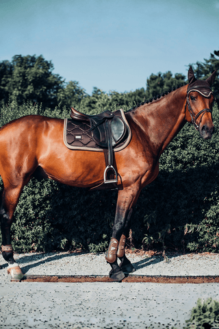 Equestrian Stockholm Huva