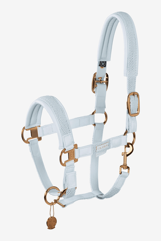 Eskadron Grimma Double Pin