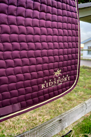 Eskadron Schabrak Logo