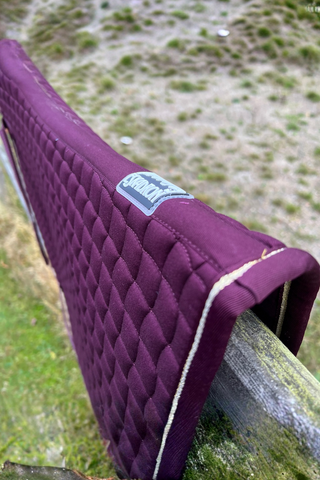 Eskadron Schabrak Logo