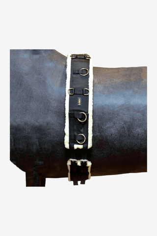 Globus Tömkörningsgjord