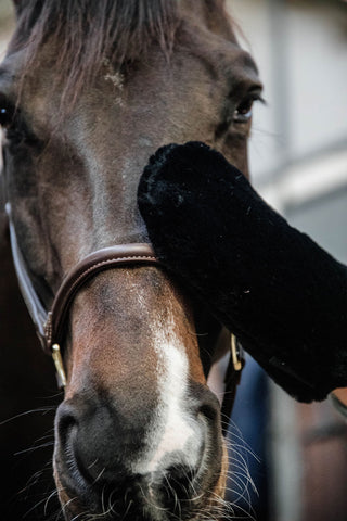 Lammeskind Grooming Handske